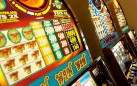 ff555 bet